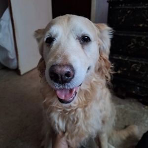 Meet your Posher, Ruben